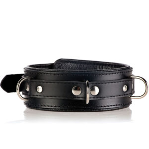 Strict Leather Premium Locking Collar