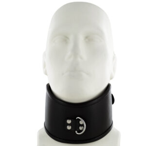 Uberkinky Padded Leather Posture Collar