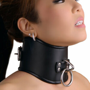 Strict Leather Locking Posture Collar